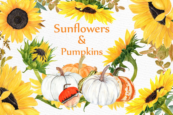Watercolor Sunflower and Pumpkin Clipart for Autumn Designs